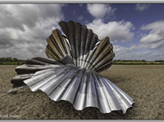 Scallop, Aldeburgh